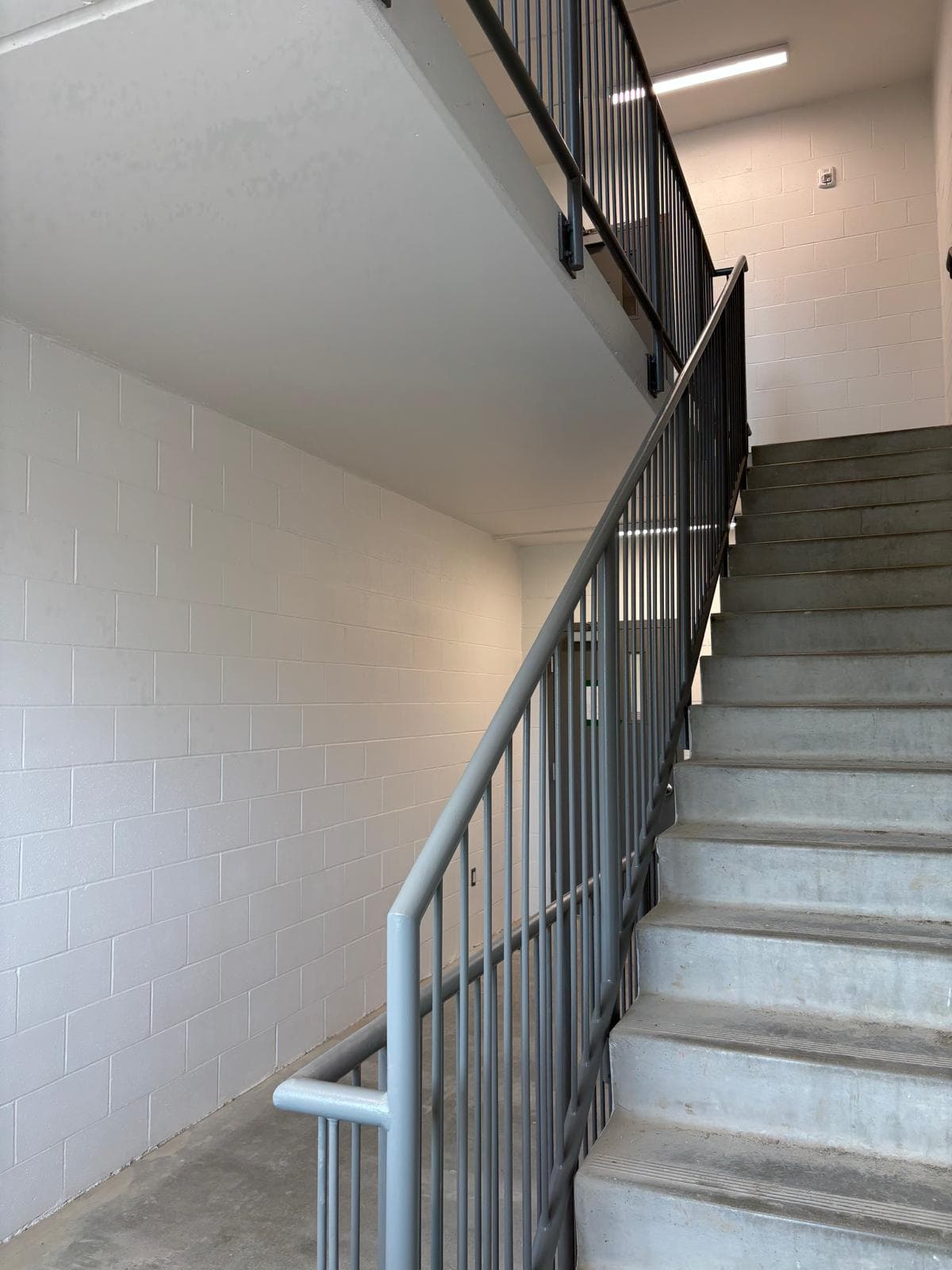 Professional painting project